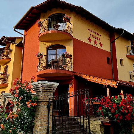 Pension Terra Alba Iulia Zewnętrze zdjęcie
